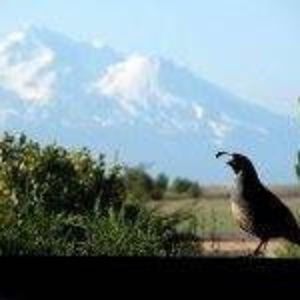 Meet your Posher, Rosalind